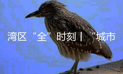 灣區(qū)“全”時刻丨“城市+運動” 當一項運動刻入城市記憶……