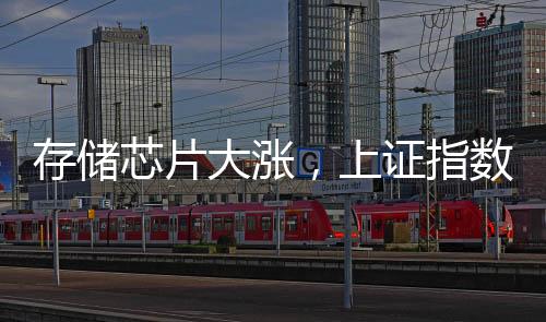 存儲芯片大漲，上證指數(shù)“金針探底”，高手怎么看？