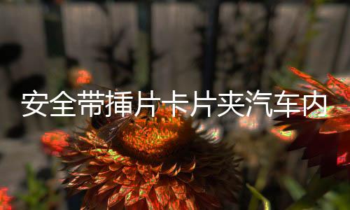 安全帶挿片卡片夾汽車內(nèi)飾裝飾扣配件摳安全帶保護套插頭轉(zhuǎn)換器
