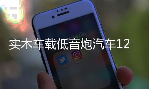 實木車載低音炮汽車12v24v無線藍牙音箱改裝220v家用臺式電腦音響