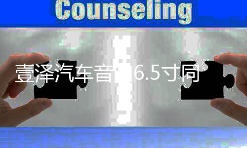 壹澤汽車音響6.5寸同軸喇叭載改裝喇叭前門套裝12v低音汽車揚聲器