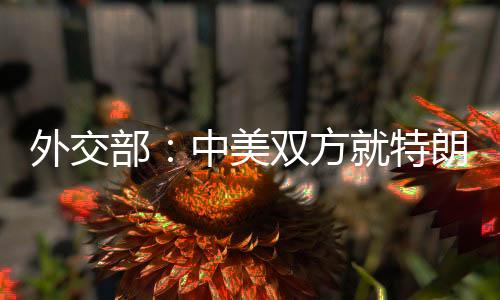 外交部：中美雙方就特朗普總統(tǒng)訪華事保持著溝通