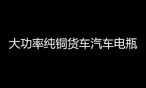 大功率純銅貨車汽車電瓶充電器12V24V伏充滿自動停全智能通用型水