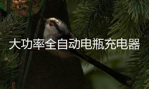 大功率全自動電瓶充電器12V24伏智能修復維護汽車起停蓄電池脈沖