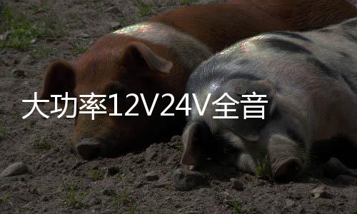 大功率12V24V全音純低音炮藍(lán)牙功放板10寸12寸15寸汽車有源音箱板