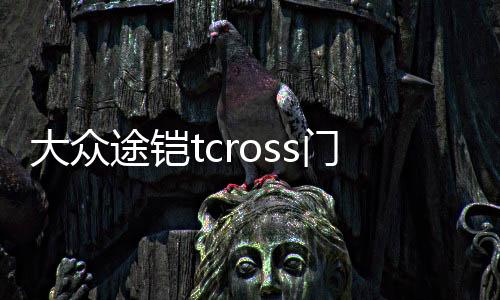 大眾途鎧tcross門槽墊途凱裝飾汽車用品車內(nèi)改裝內(nèi)飾配件愷水杯墊