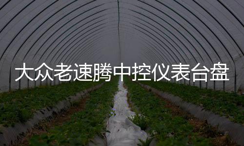 大眾老速騰中控儀表臺(tái)盤(pán)避光墊專(zhuān)用汽車(chē)內(nèi)飾防曬隔熱遮光墊配件改