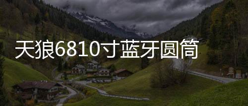天狼6810寸藍牙圓筒大功率重低車載有源汽車低音炮12V24V220V音響