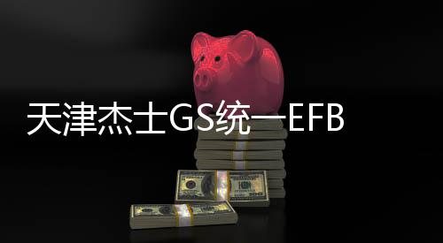 天津杰士GS統(tǒng)一EFB S95R電池適配豐田十四代皇冠原裝啟停汽車電瓶