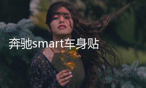奔馳smart車身貼 拉花 改裝專用車貼紙 整車貼 汽車貼紙 包郵