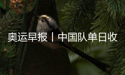 奧運(yùn)早報丨中國隊單日收1金1銀1銅 14歲小將創(chuàng)歷史
