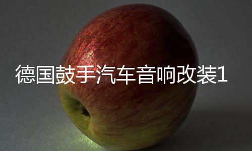 德國鼓手汽車音響改裝10寸低音喇叭12寸無源低音炮雙音圈超重低音