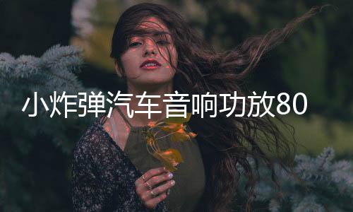 小炸彈汽車音響功放800W單路功放帶燈純低音功放帶線控高低電平