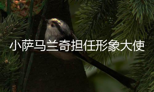 小薩馬蘭奇擔任形象大使 2025上海中心高塔競速挑戰(zhàn)賽將于11月開賽