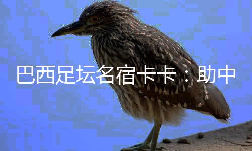 巴西足壇名宿卡卡：助中國(guó)青少年追逐“足球夢(mèng)”