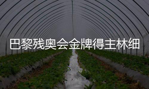 巴黎殘奧會金牌得主林細妹、麥建朋談奪冠感想 盼未來再創(chuàng)佳績