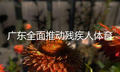 廣東全面推動(dòng)殘疾人體育事業(yè)高質(zhì)量發(fā)展 殘疾人運(yùn)動(dòng)佳績(jī)不斷