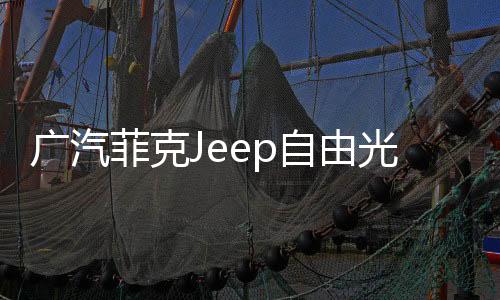 廣汽菲克Jeep自由光吉普大切諾基原裝電瓶汽車80AH瓦爾塔蓄電池