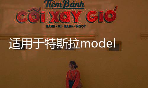 適用于特斯拉modely前后備箱儲(chǔ)物盒model丫尾箱置物收納改裝配件