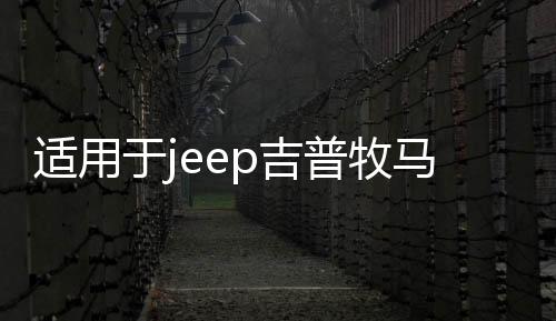 適用于jeep吉普牧馬人汽車(chē)改裝車(chē)門(mén)合頁(yè)尾門(mén)備胎支架合葉裝飾配件