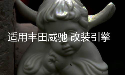 適用豐田威馳 改裝引擎蓋后備箱液壓桿花冠 致炫 致享Corolla撐桿