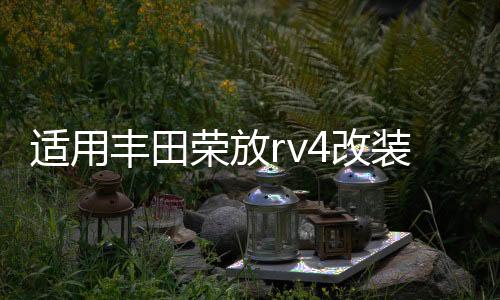 適用豐田榮放rv4改裝配件rav4汽車用品車內(nèi)裝飾21款2021內(nèi)飾杯墊