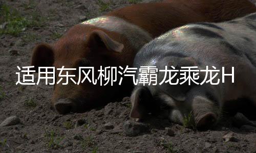 適用東風(fēng)柳汽霸龍乘龍H7H5M3大燈總成全led前大燈重卡配件日行燈