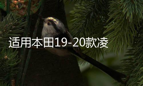 適用本田19-20款凌派高音喇叭a柱享域音響改裝汽車用品裝飾配件