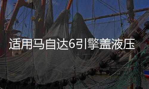 適用馬自達(dá)6引擎蓋液壓桿改裝馬8/2/3/5 睿翼 星騁機(jī)蓋支撐氣彈簧