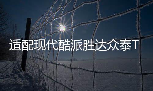 適配現(xiàn)代酷派勝達眾泰T700中華尊馳原裝電瓶瓦爾塔70A汽車蓄電池