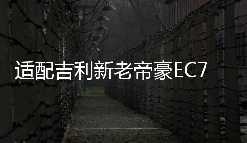 適配吉利新老帝豪EC7遠(yuǎn)景比亞迪L3/G3漢騰x5瓦爾塔蓄電池汽車電瓶