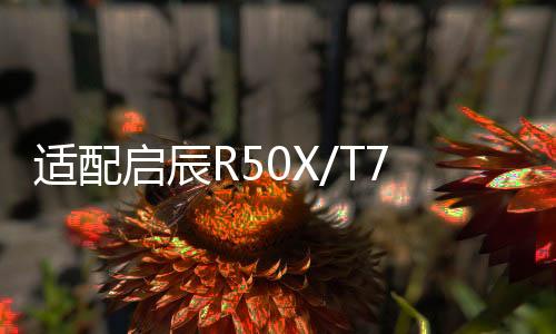 適配啟辰R50X/T70X/D50/R30/R50/M50V/D60原裝電瓶風帆汽車蓄電池