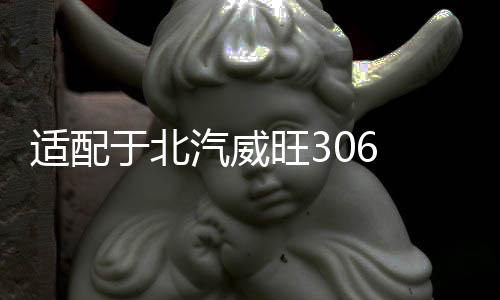 適配于北汽威旺306 307 后尾燈總成尾燈燈罩倒車(chē)剎車(chē)燈后燈配件