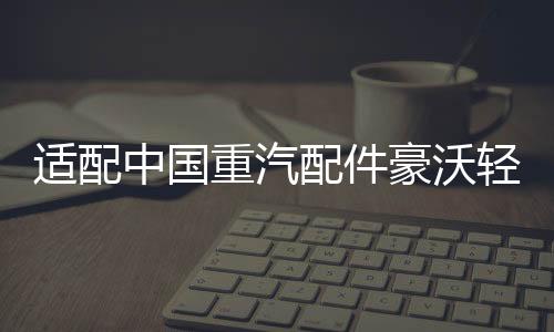 適配中國(guó)重汽配件豪沃輕卡悍將統(tǒng)帥玻璃升降器開(kāi)關(guān)門(mén)控鎖車(chē)窗開(kāi)關(guān)
