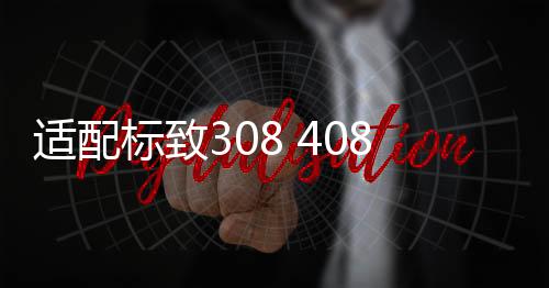 適配標致308 408世嘉16V 1.6標志307汽車發(fā)電機曲軸皮帶輪 配件