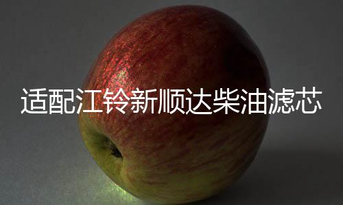 適配江鈴新順達(dá)柴油濾芯 空氣濾芯 機(jī)油濾芯 新順達(dá)國(guó)四三濾 四濾