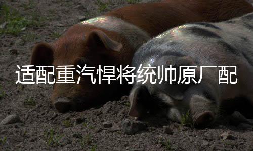 適配重汽悍將統(tǒng)帥原廠配件豪沃輕卡油門踏板HOWO輕卡電子油門踏板