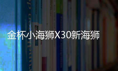 金杯小海獅X30新海獅X30L改裝飾汽車配件中控儀表臺盤防曬避光墊