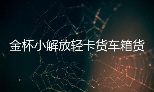 金杯小解放輕卡貨車箱貨領(lǐng)騏騏運汽車配件汽車坐墊套冰絲座墊貨
