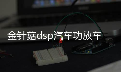 金針菇dsp汽車功放車載音頻處理器無損改裝4進(jìn)6出大功率音響低音