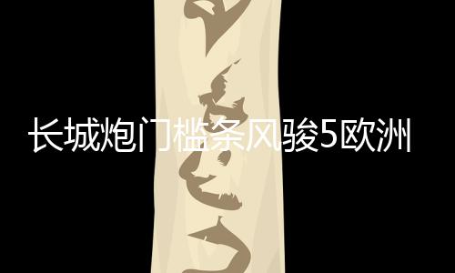 長城炮門檻條風駿5歐洲版改裝配件6迎賓踏板7車內飾裝飾汽車用品