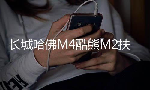 長城哈佛M4酷熊M2扶手箱專用哈弗汽車中央手扶箱內飾改裝配件