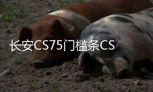 長(zhǎng)安CS75門檻條CS75plus改裝內(nèi)飾車貼配件汽車迎賓踏板防刮踩踏貼