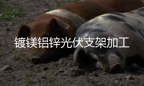 鍍鎂鋁鋅光伏支架加工
