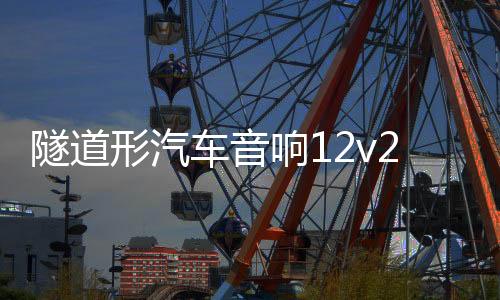 隧道形汽車(chē)音響12v24v車(chē)載藍(lán)牙低音炮220V音箱重低音大功率改裝