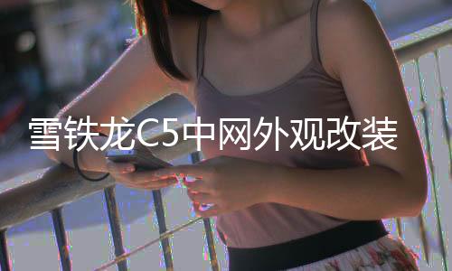 雪鐵龍C5中網(wǎng)外觀改裝配件天逸c5 aircross前臉保險杠專用裝飾條
