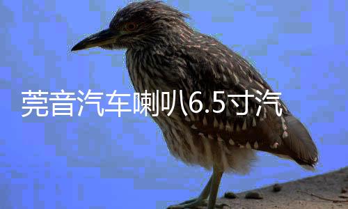 莞音汽車喇叭6.5寸汽車同軸喇叭發(fā)燒車載i汽車音響喇叭改裝升級