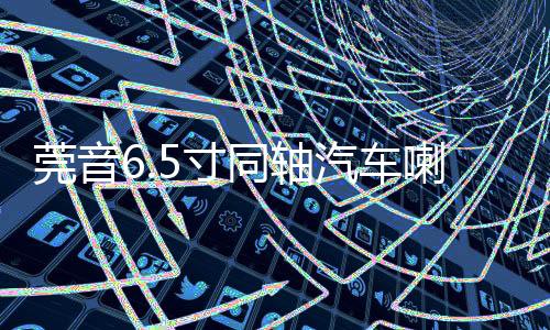 莞音6.5寸同軸汽車?yán)劝l(fā)燒hifi中低音車載汽車音響改裝套裝喇叭