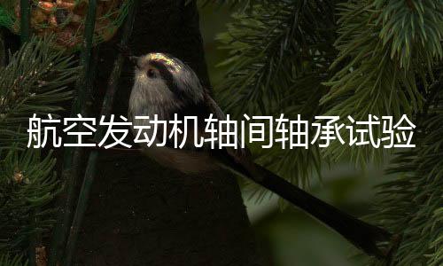 航空發(fā)動機軸間軸承試驗機