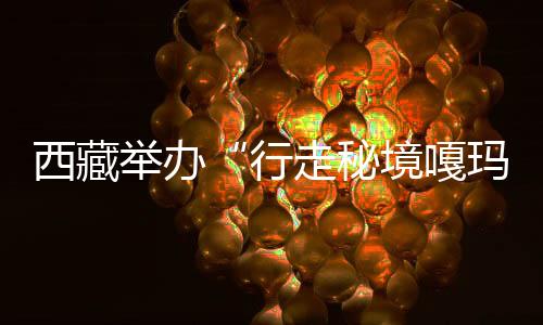 西藏舉辦“行走秘境嘎瑪”珠峰東坡徒步之旅產(chǎn)品發(fā)布會(huì)